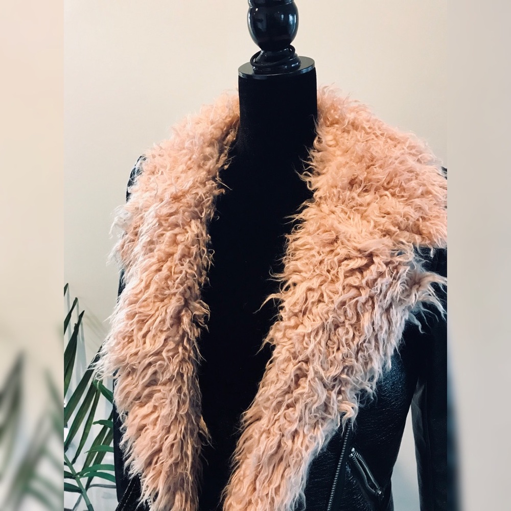 Sunset + Spring - image 2